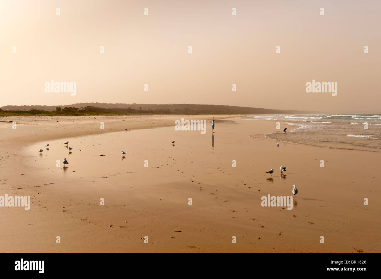 Dalmeny Beach in a dust storm. NSW, Australia Stock Photo