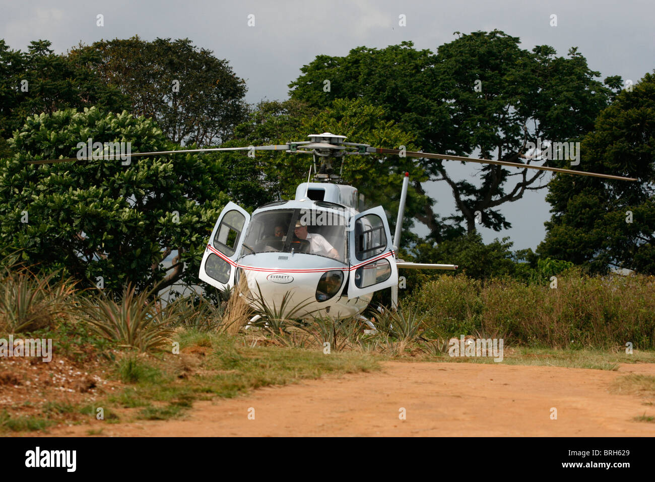 A Eurocopter AS350-B2 (Ecureuil/Squirrel) about to take off from an island in Lake Victoria, Uganda Stock Photo