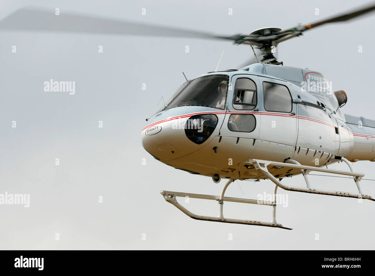 A Eurocopter AS350-B2 (Ecureuil/Squirrel) in flight Stock Photo