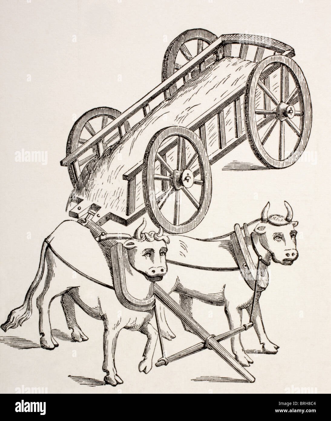 Cart drawn by oxen. 15th century. Stock Photo