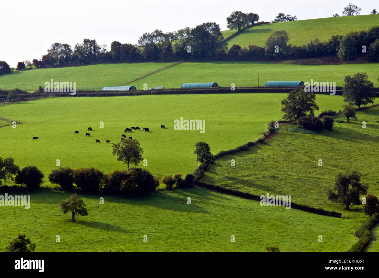 Woolley Valley shot from Swainswick showing controversial chicken shed buildings in distance Stock Photo