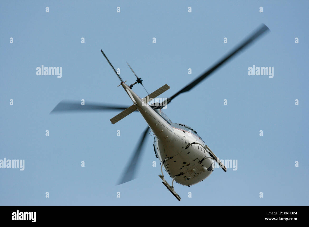 A Eurocopter AS350-B2 (Ecureuil/Squirrel) in flight seen from the rear. Stock Photo
