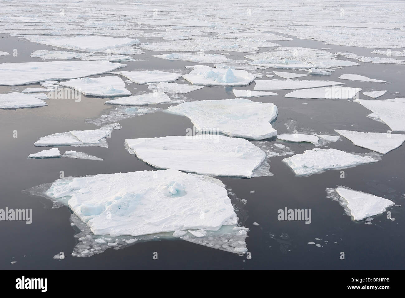 Ice Floe, Weddell Sea, Antarctic Peninsula Stock Photo