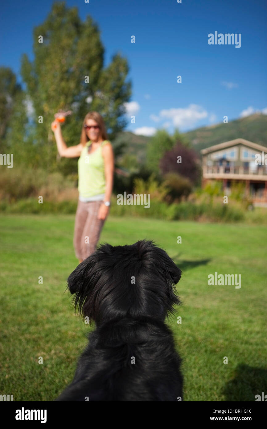 Woman Playing Fetch With Her Dog, Steamboat Springs, Colorado, USA