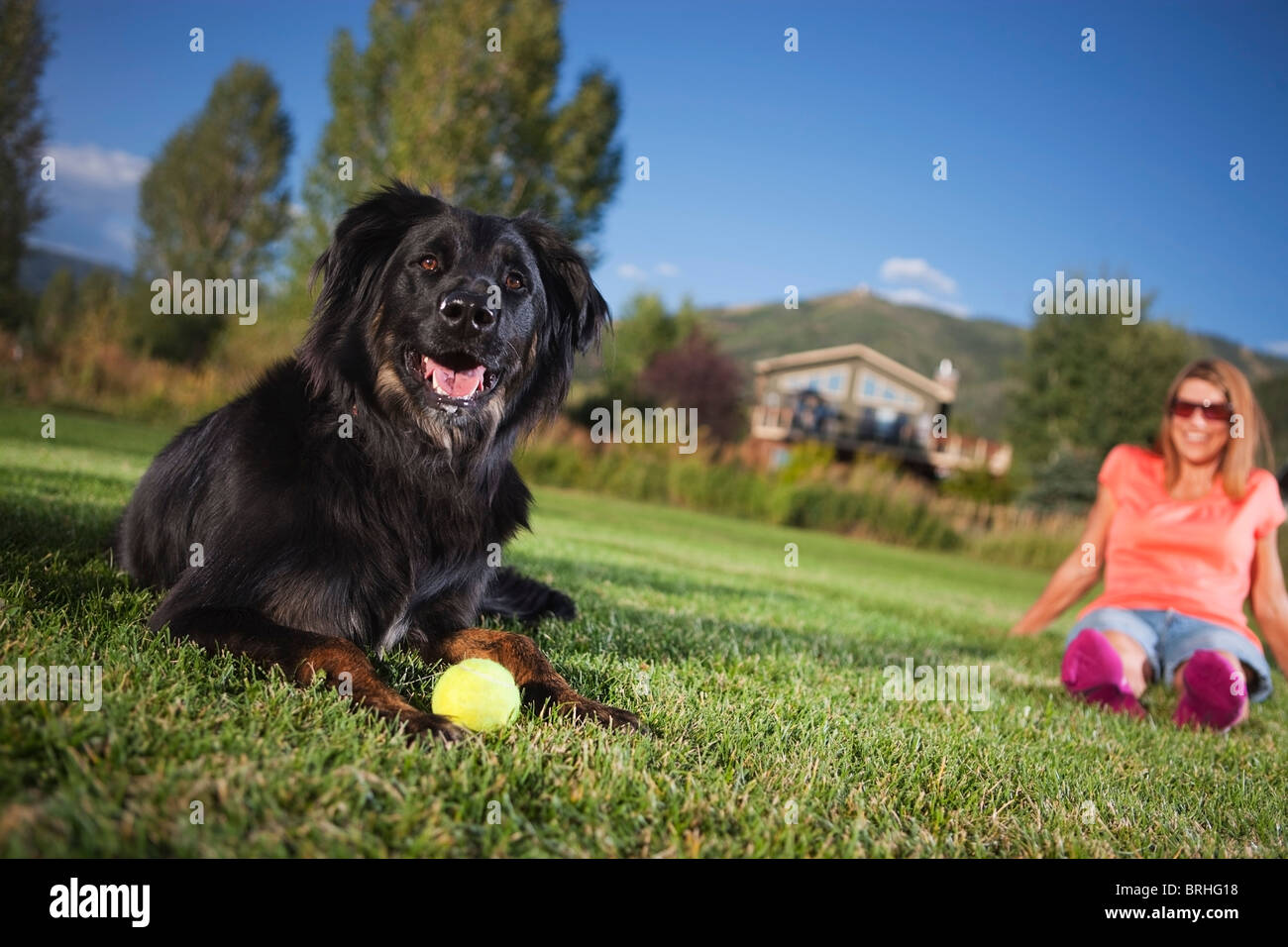 Woman and Her Dog Playing in a Park, Steamboat Springs, Colorado, USA
