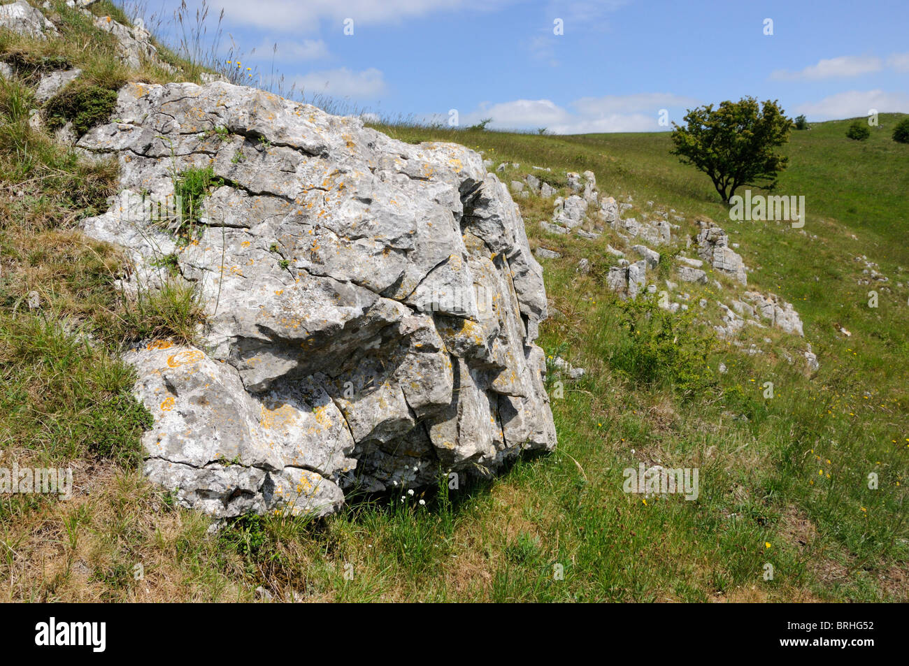 Limestone outcrop on Draycott Sleights Nature Reserve Stock Photo Alamy