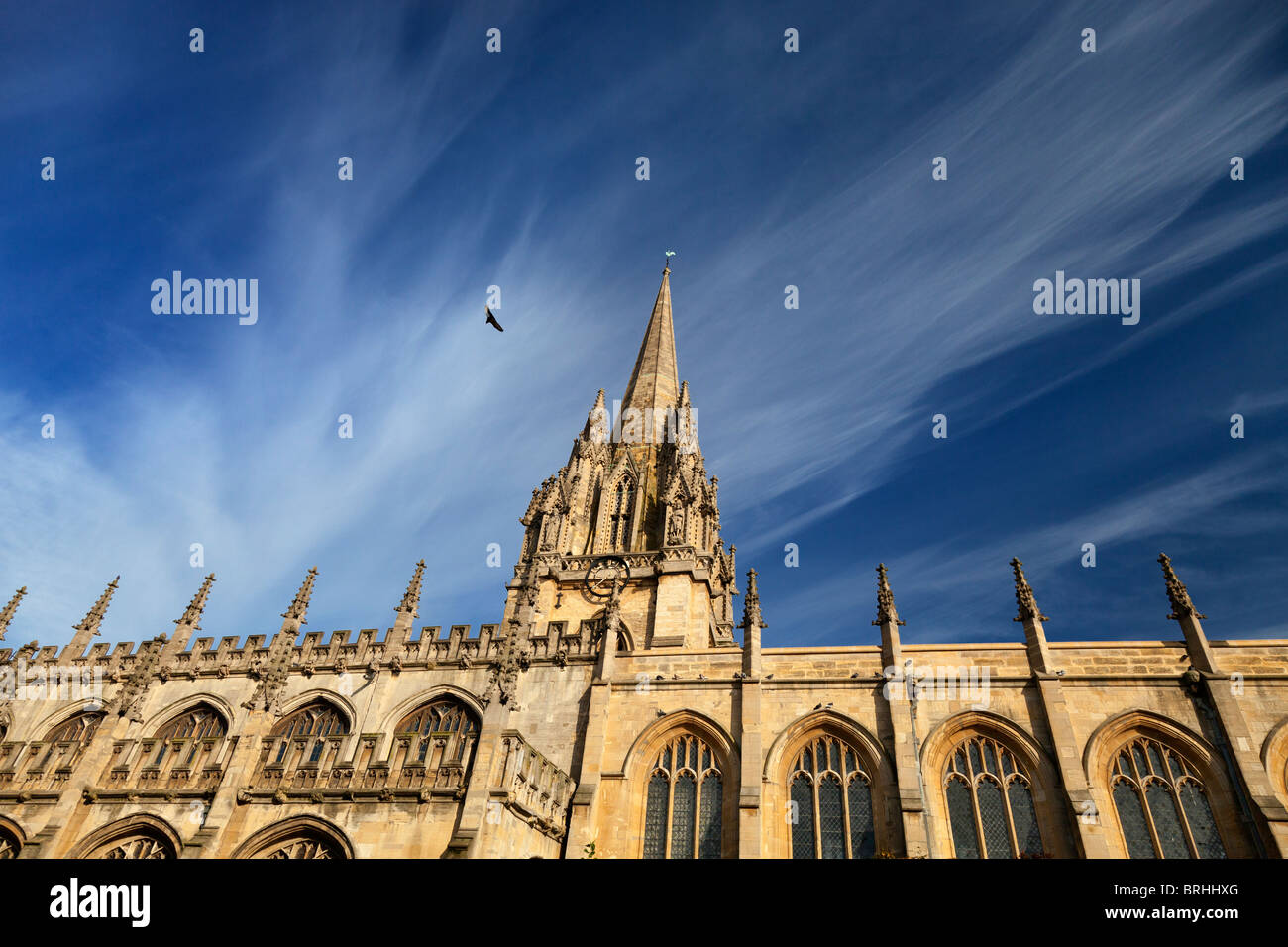 Red Kite above St Mary's Church Oxford Stock Photo