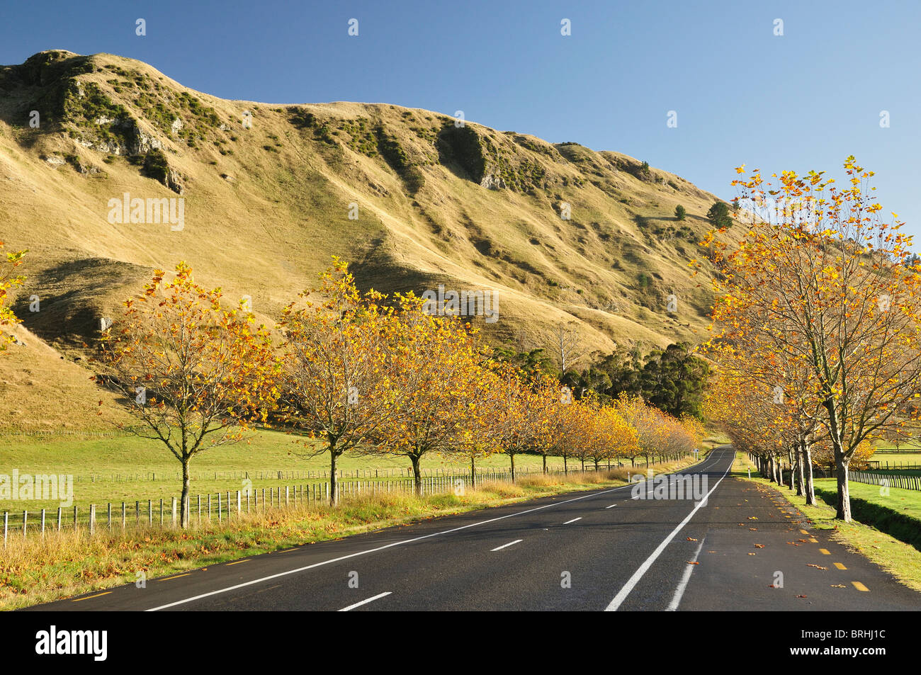 Waimarama Road, Havelock North, Hawke's Bay, North Island, New Zealand Stock Photo