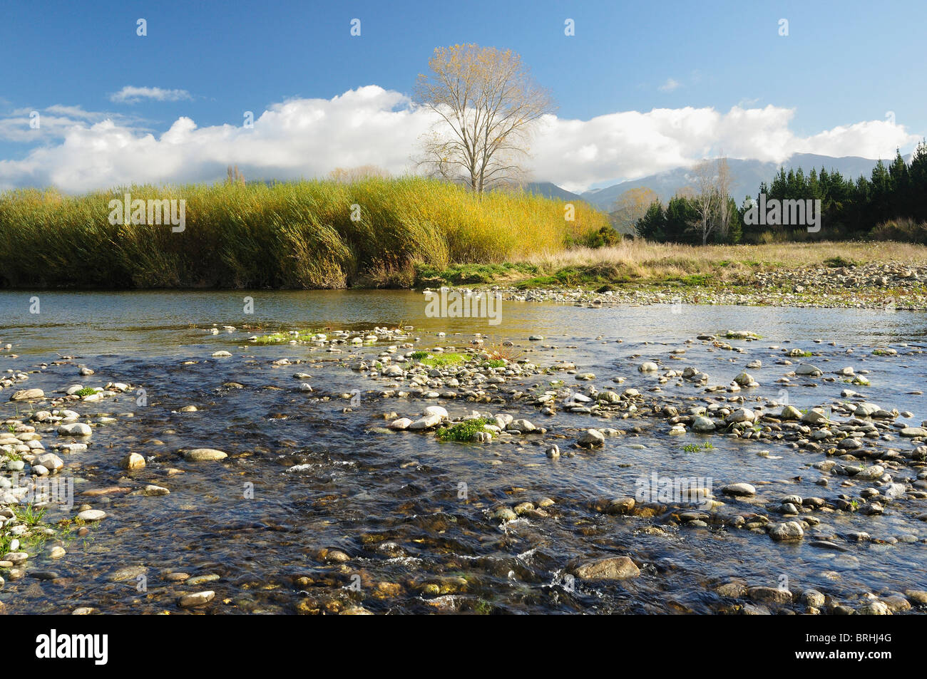Takaka River, Paynes Ford Scenic Reserve, Tasman, South Island, New