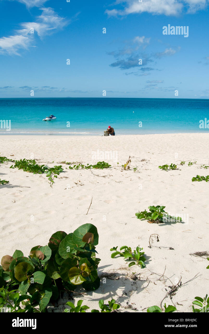 Darkwood Beach, Antigua, West Indies, Caribbean, Central America Stock Photo