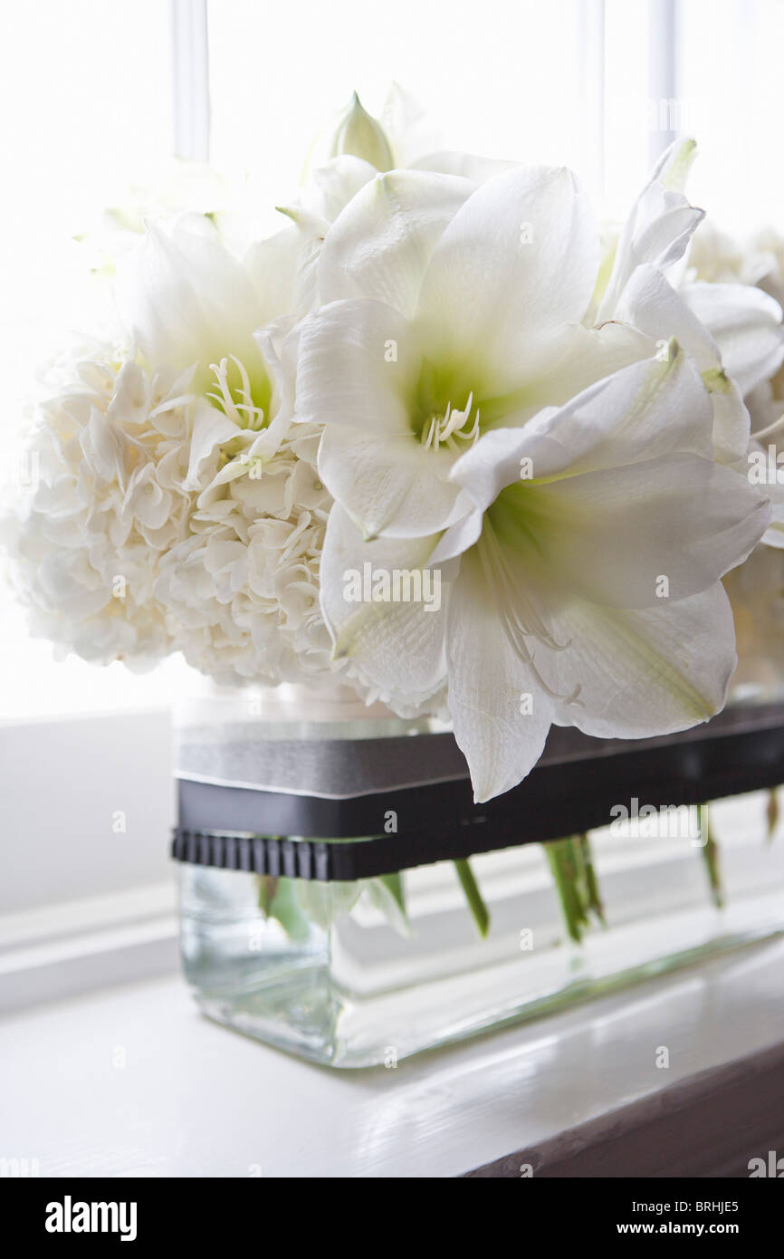 Flowers on Window Sill Stock Photo - Alamy