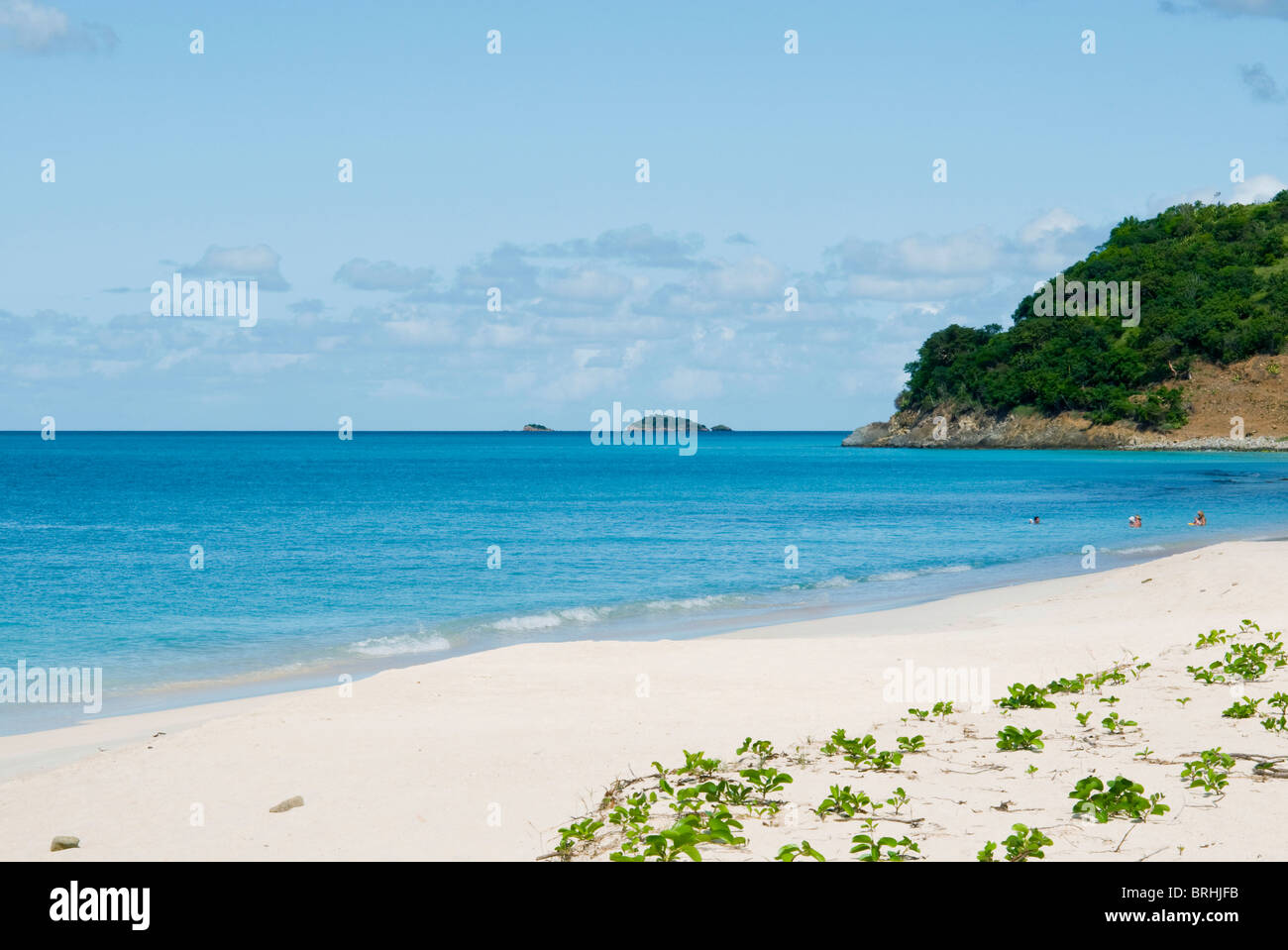 Darkwood Beach, Antigua, West Indies, Caribbean, Central America Stock Photo