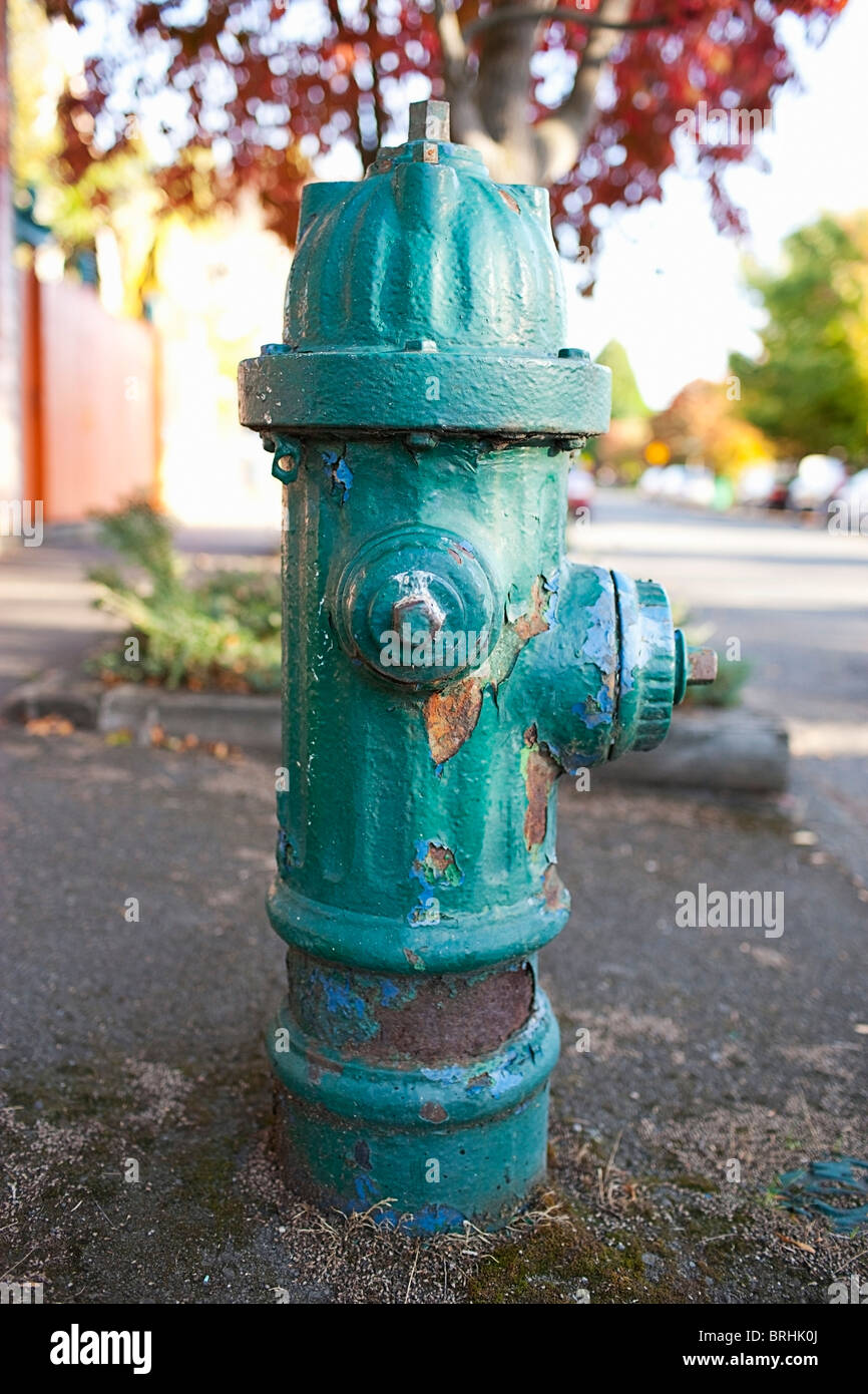 Green Fire Hydrant, Seattle, Washington, USA Stock Photo