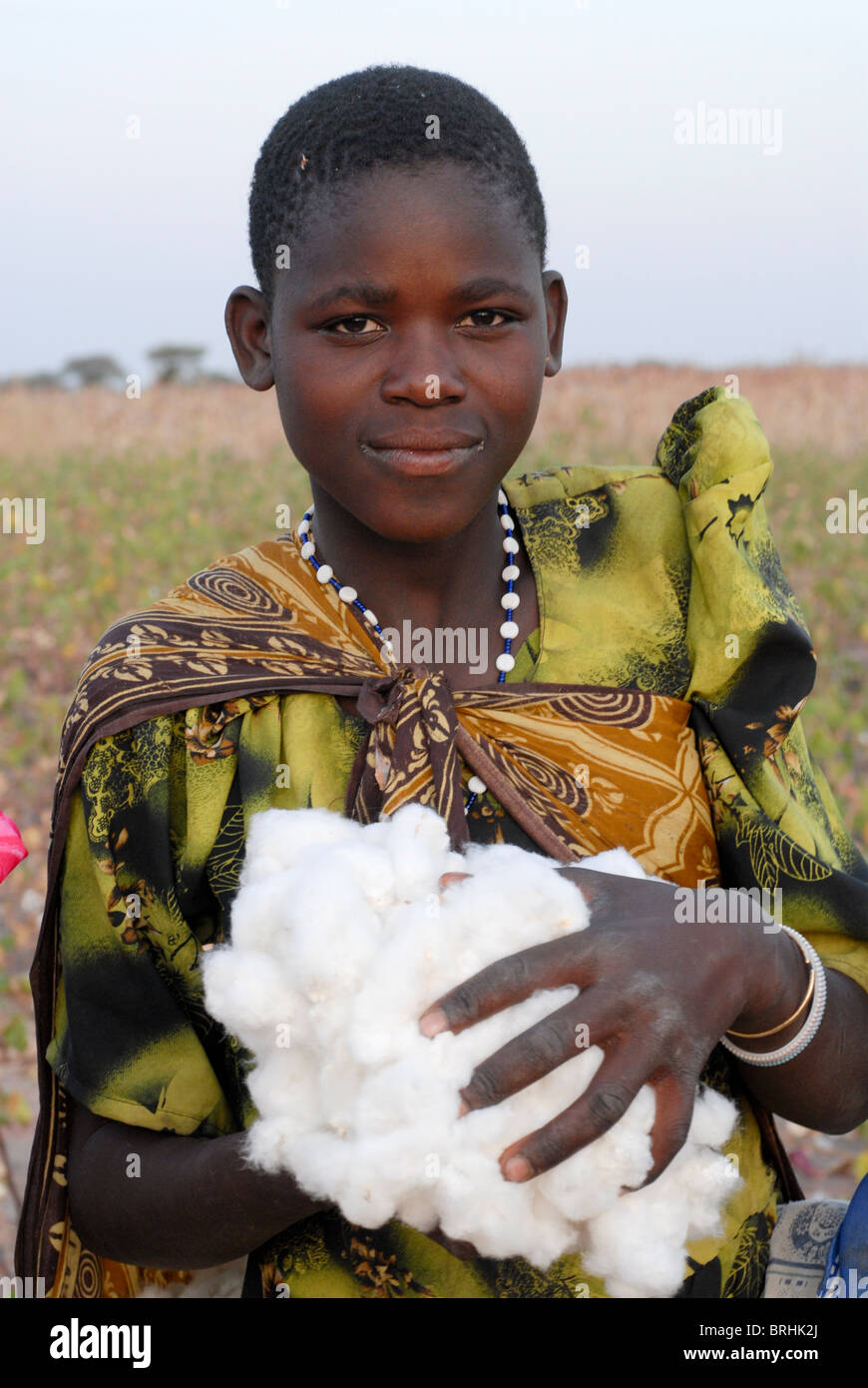 Africa eastafrica Tanzania , woman harvest organic and fairtrade