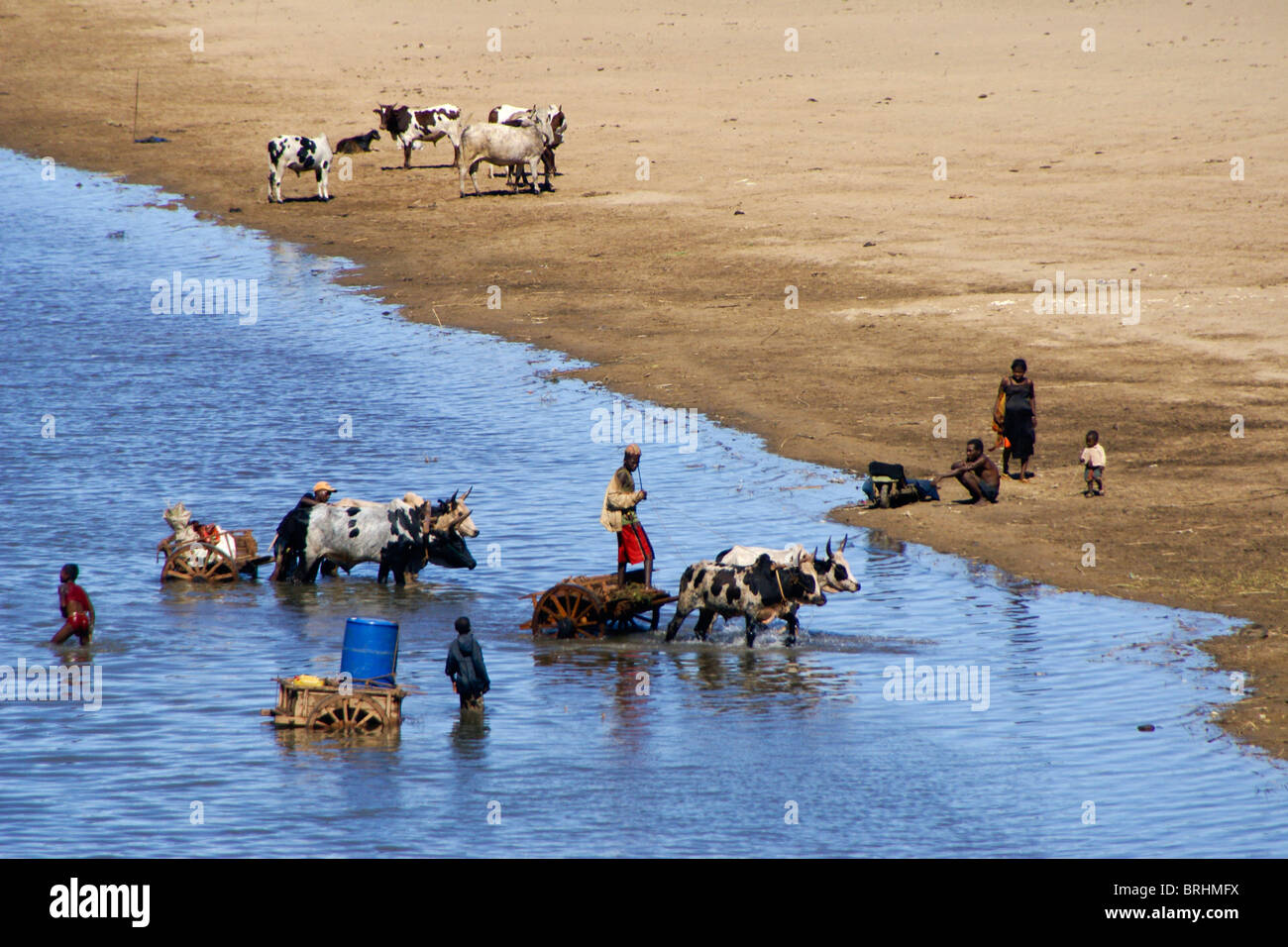 People and zebu at Mandrare River, Madagascar Stock Photo