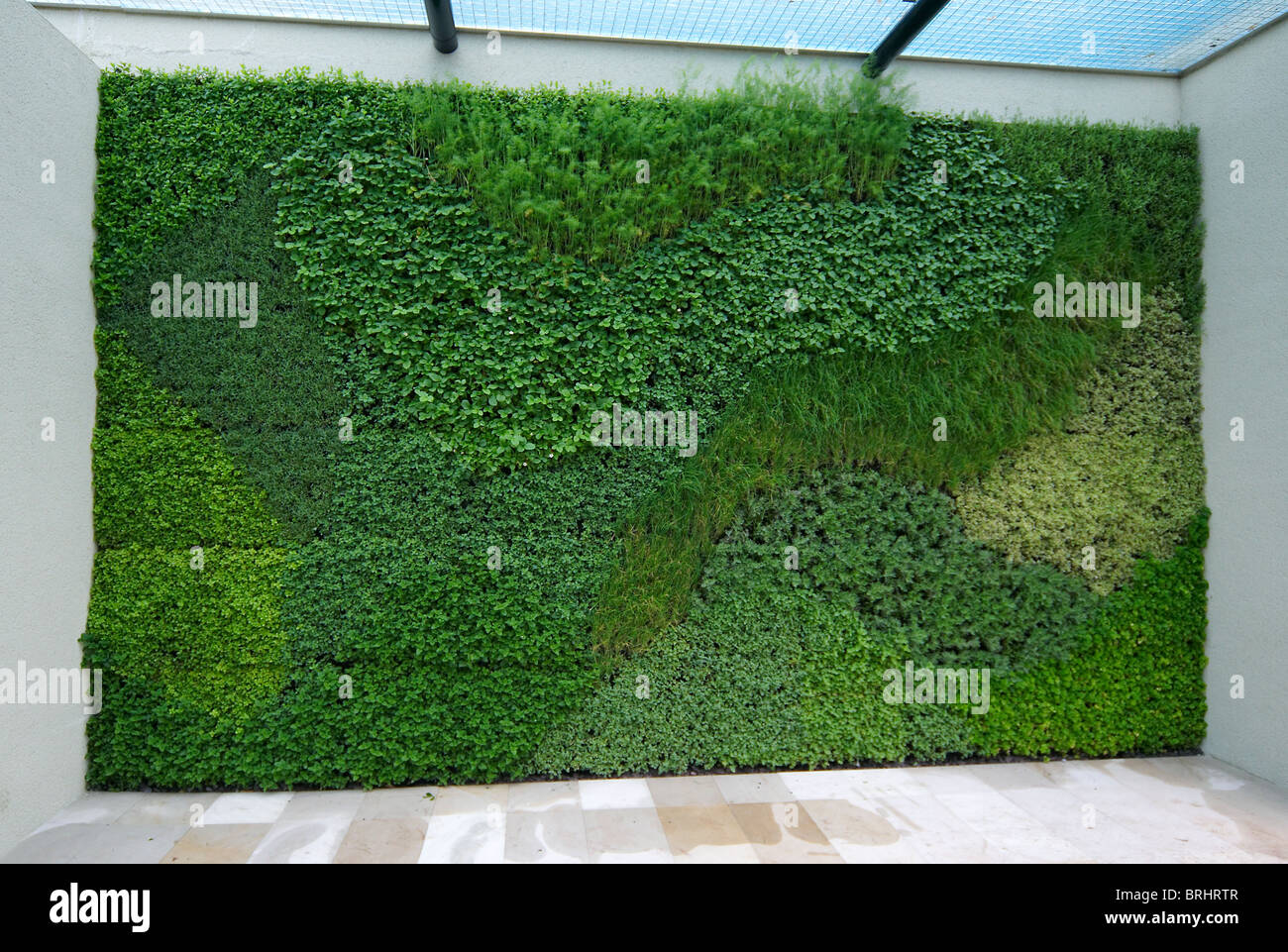 Vertical garden wall hi-res stock photography and images - Alamy