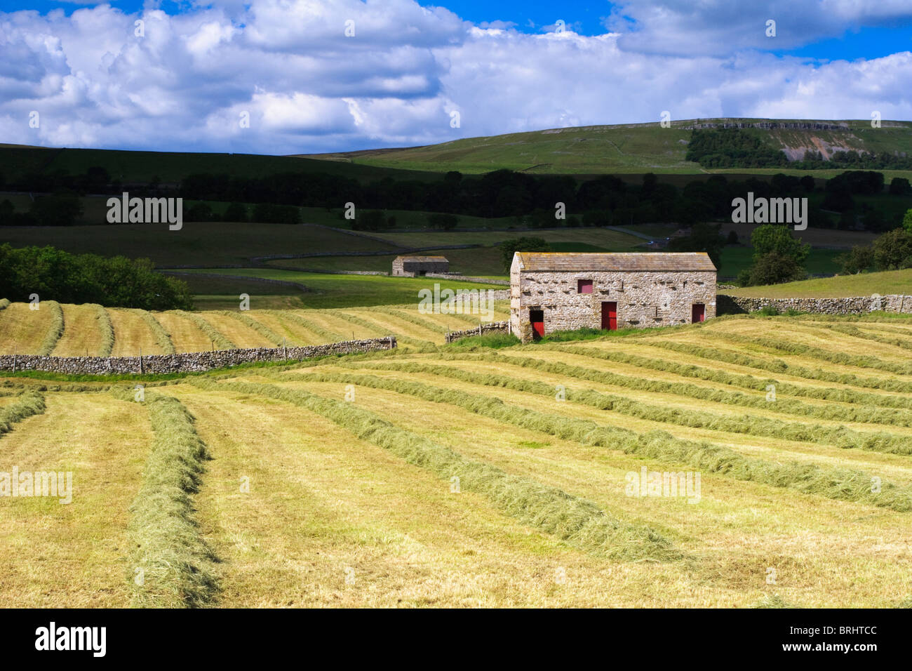 newly mown field in Wensleydale showing single barn with red doors Stock Photo