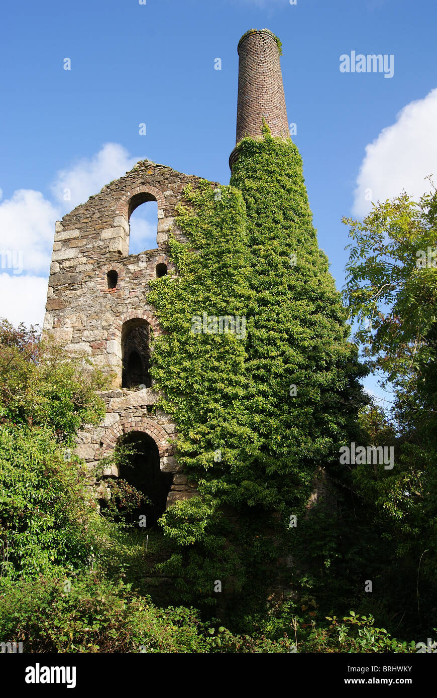 Wheel Busy engine House Cornwall Stock Photo Alamy