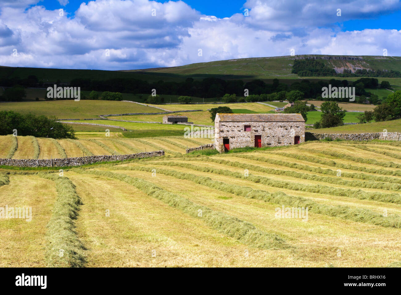 newly mown field in Wensleydale showing single barn with red doors Stock Photo