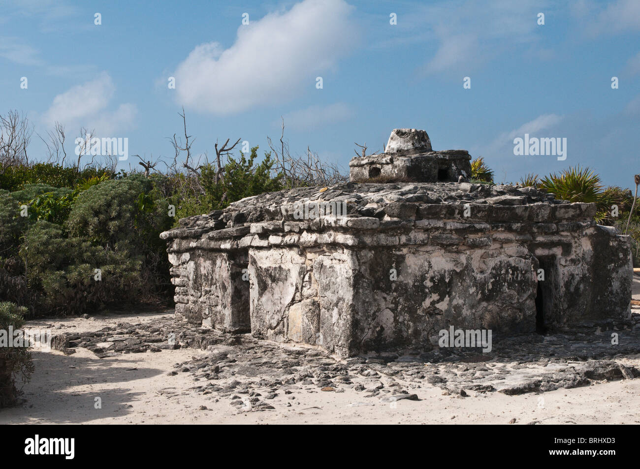 Mexico, Cozumel. Old Mayan ruins, Punta Sur Park, Isla de Cozumel (Cozumel Island). Stock Photo