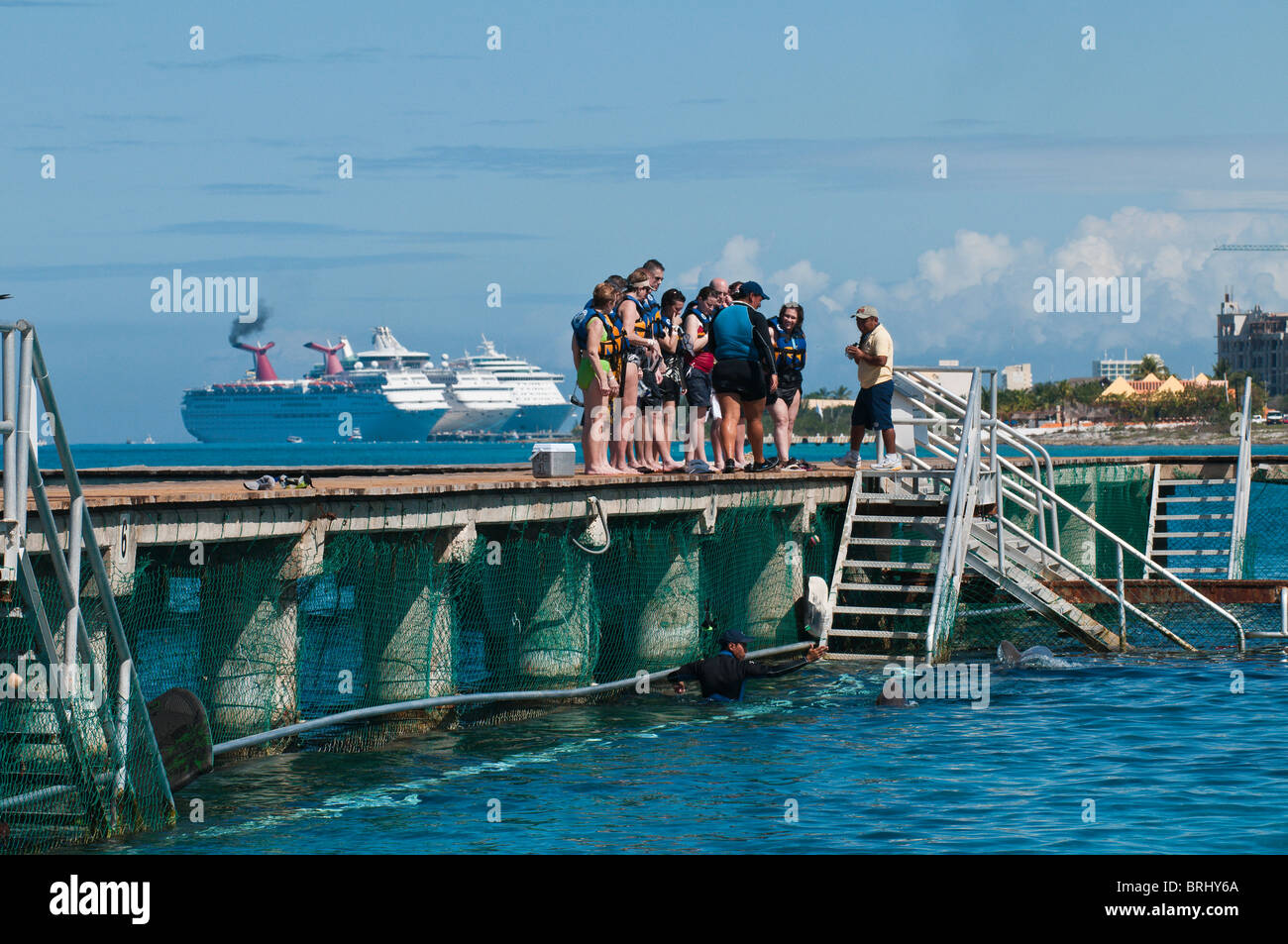 Mexico, Cozumel. Dolphin Discovery at Chankanaab Park and Cruise ship