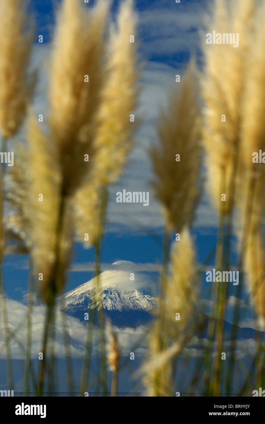 Volcano Osorno and Lake Llanquihue view from Frutillar in the X Region de los Lagos, Chile Stock Photo