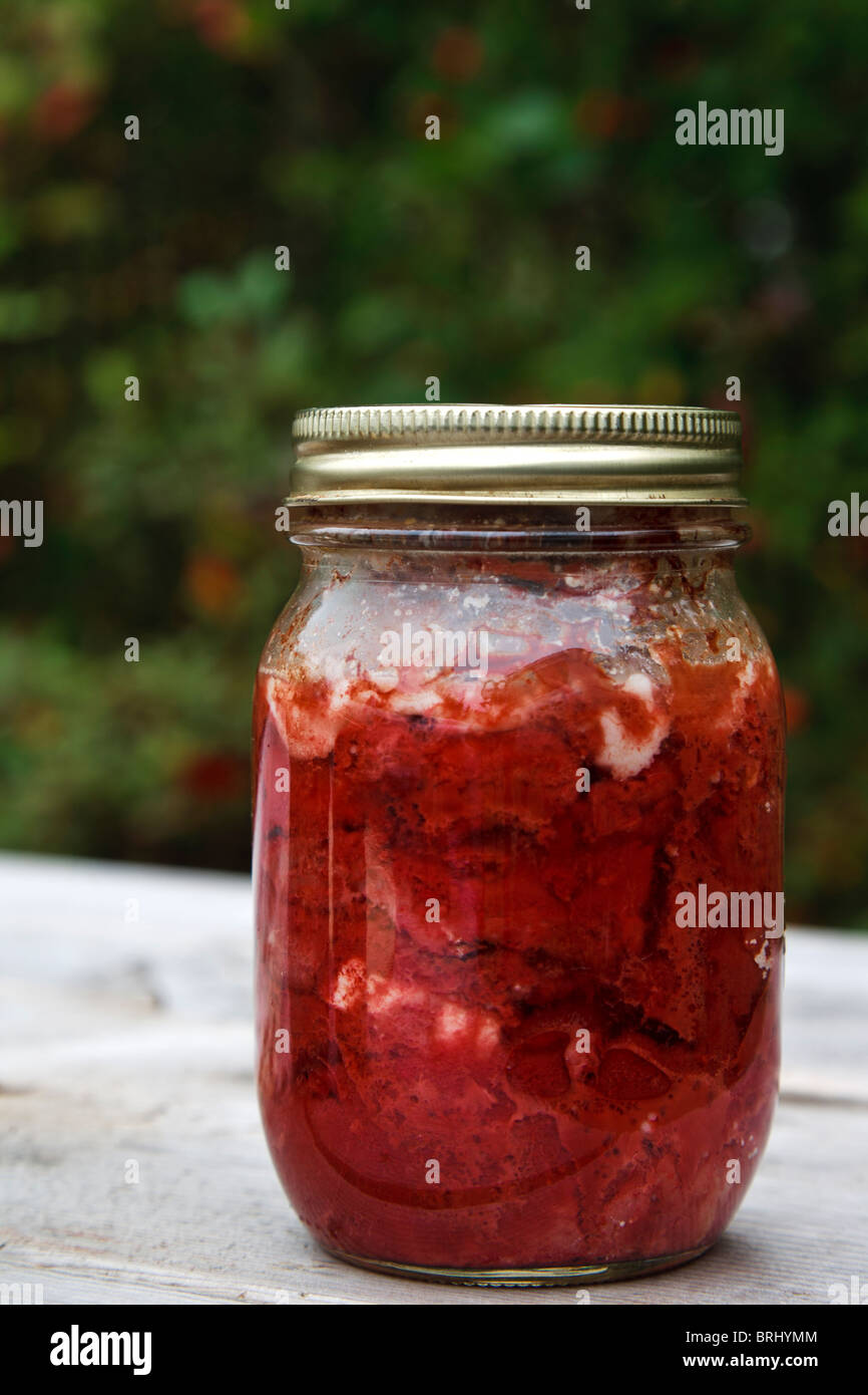 A jar of Bottled Moose Meat a traditional method of preserving meat Stock  Photo - Alamy