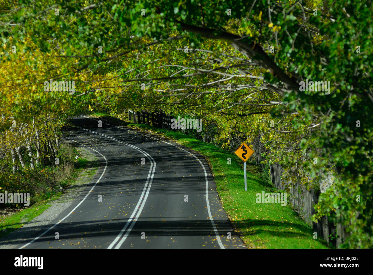 Ruta de los Colonos, road between Frutillar and Puerto Octay in the X Region de los Lagos, Northern Chilean Patagonia, Chile Stock Photo