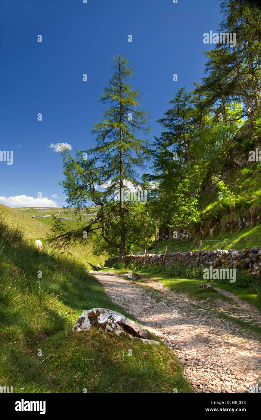 Footpath above Clapham Village, Yorkshire, England. UK Stock Photo Alamy