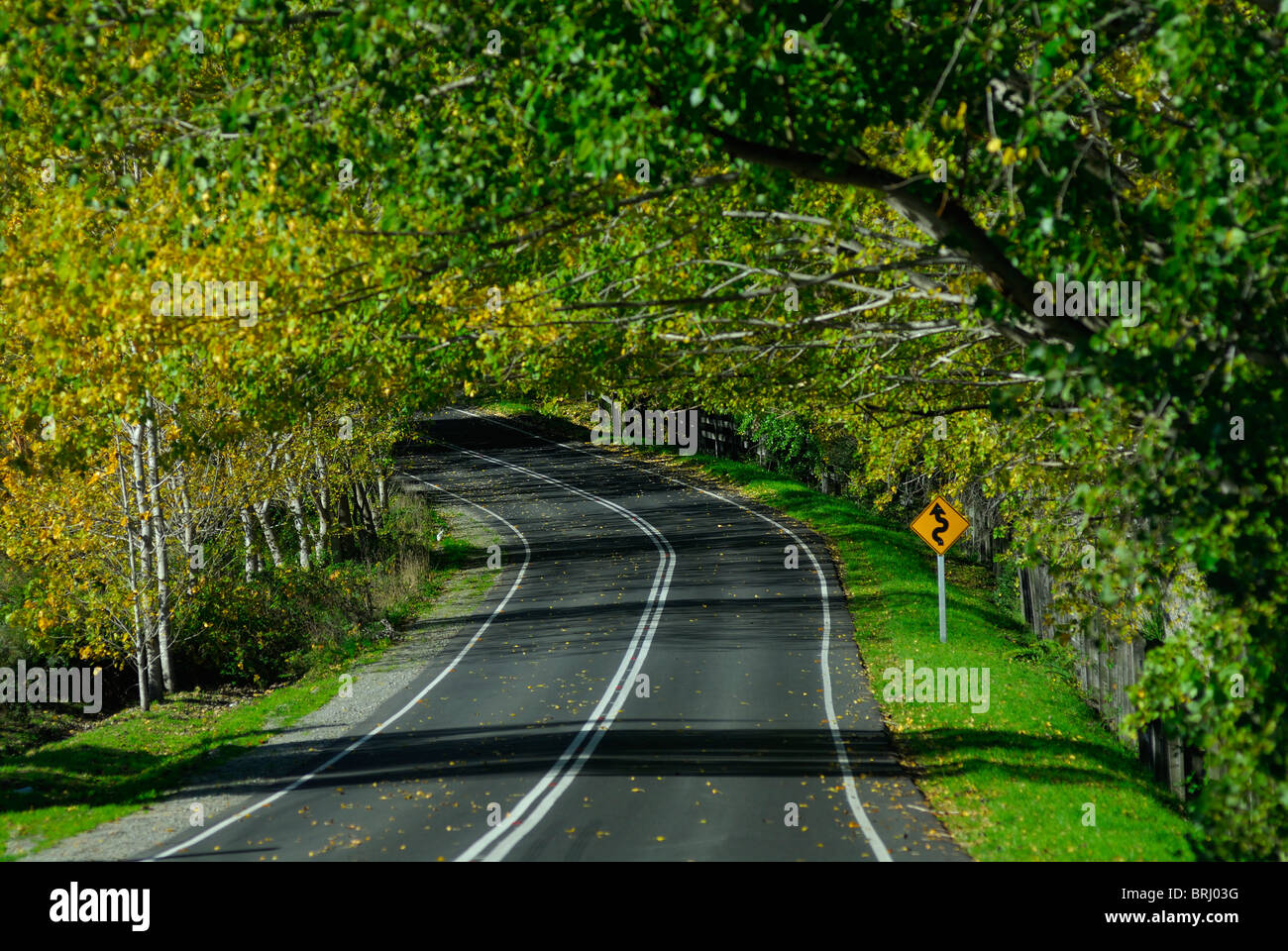 Ruta de los Colonos, road between Frutillar and Puerto Octay in the X Region de los Lagos, Northern Chilean Patagonia, Chile Stock Photo