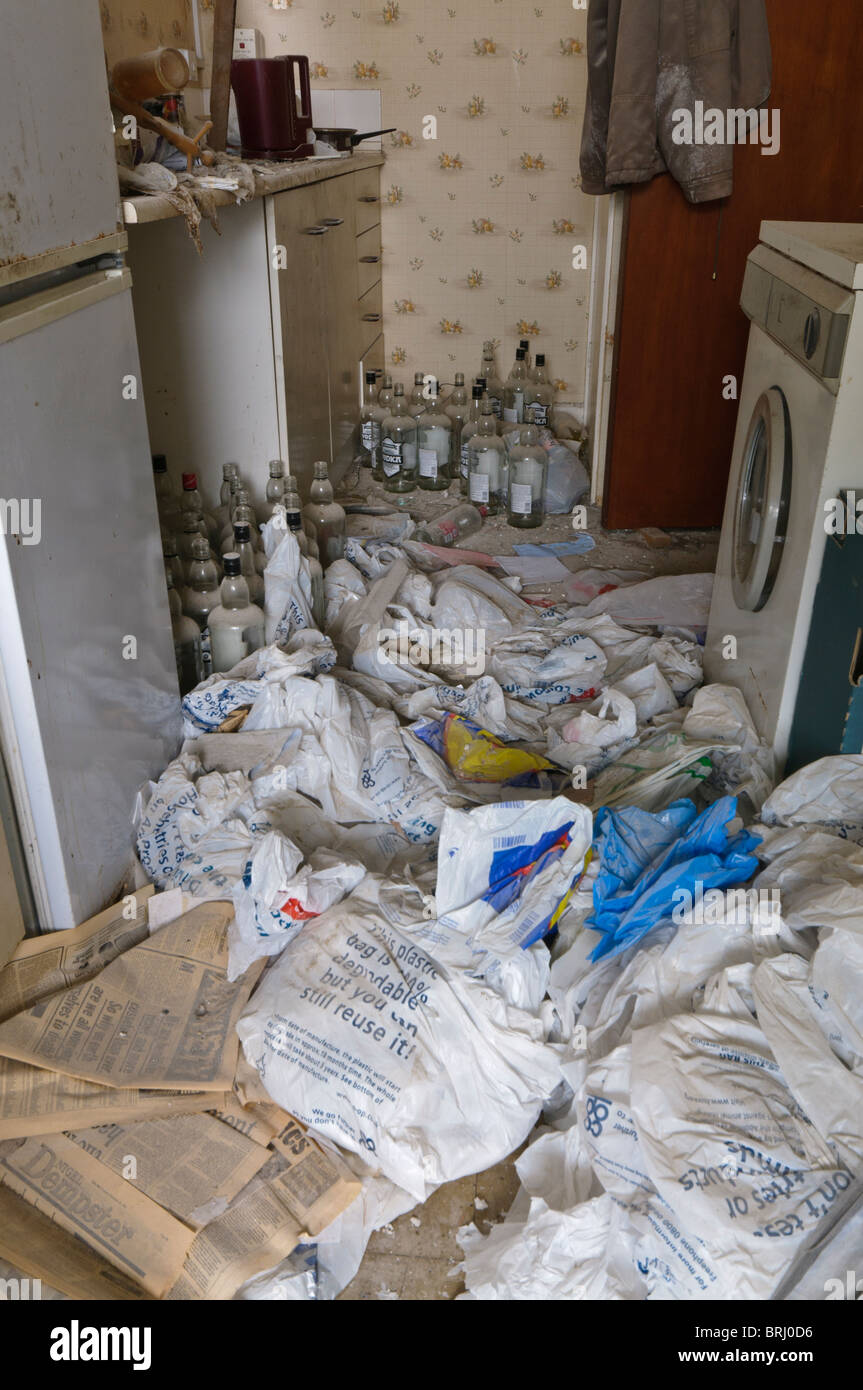 Lots of empty vodka bottles in a kitchen Stock Photo