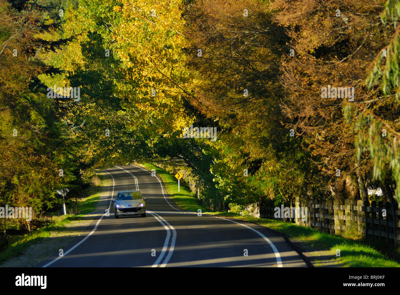 Ruta de los Colonos, road between Frutillar and Puerto Octay in the X Region de los Lagos, Northern Chilean Patagonia, Chile Stock Photo