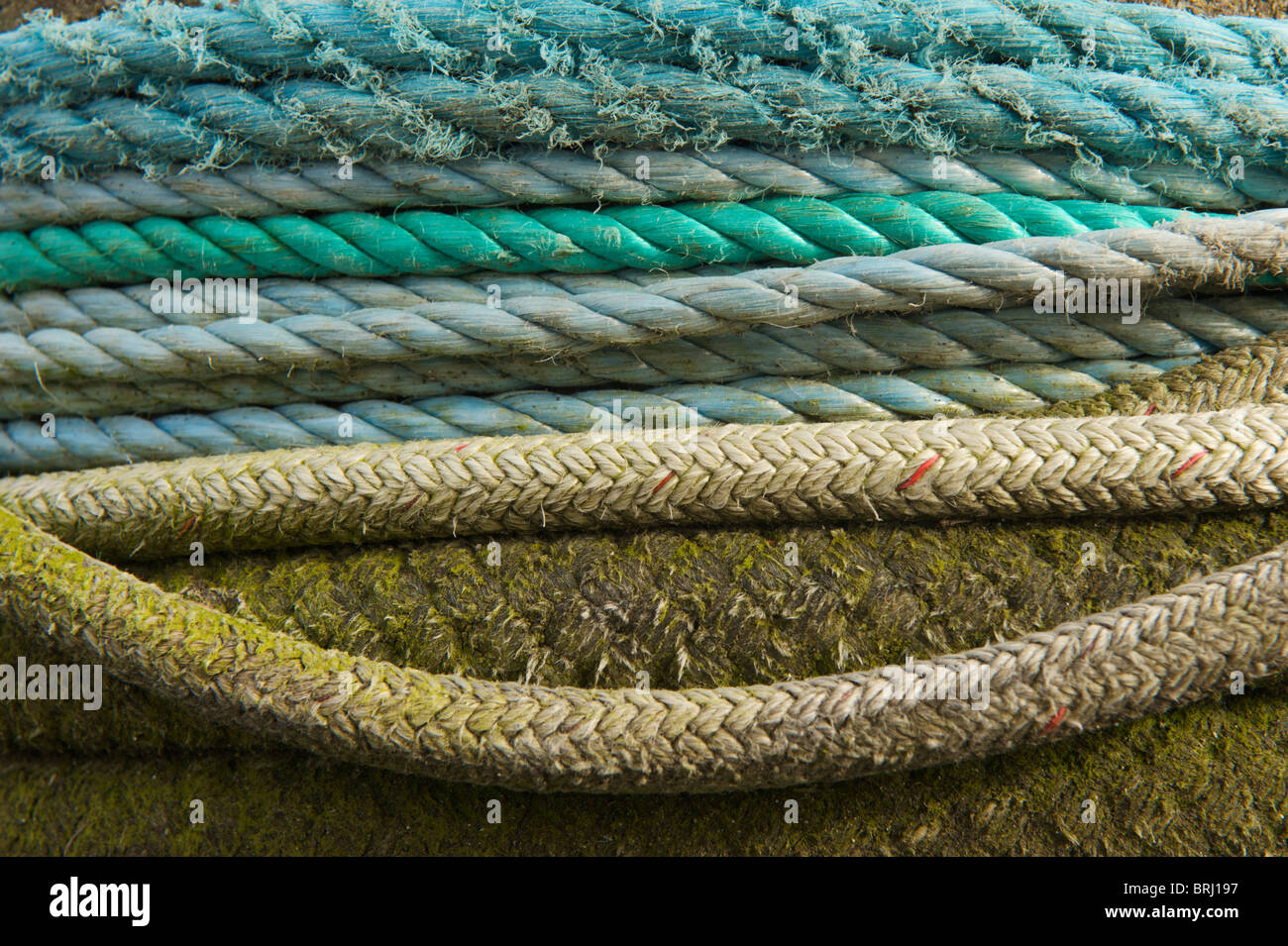 Fishermen's ropes tied on a pier Stock Photo - Alamy