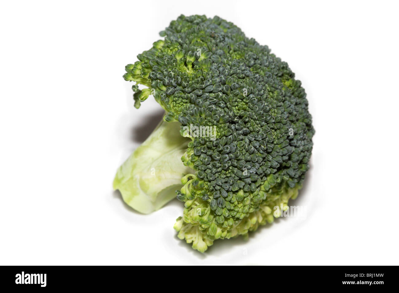 Broccoli Floret beautiful raw green vegetables closeup Stock Photo Alamy
