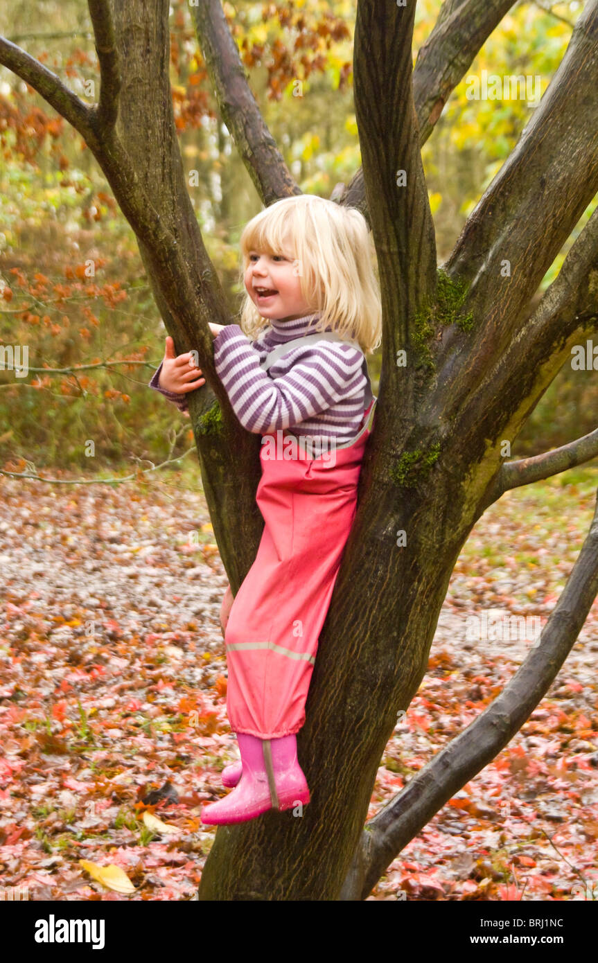 Vertical portrait of a young girl being a tomboy, climbing and sitting in a tree in the autumn. Stock Photo
