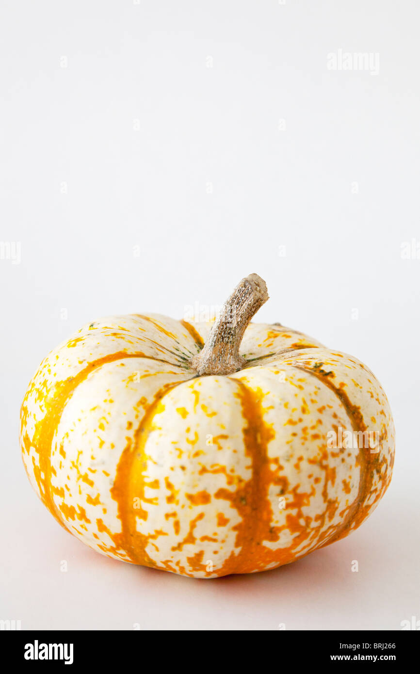 Pumpkin with stem hires stock photography and images Alamy