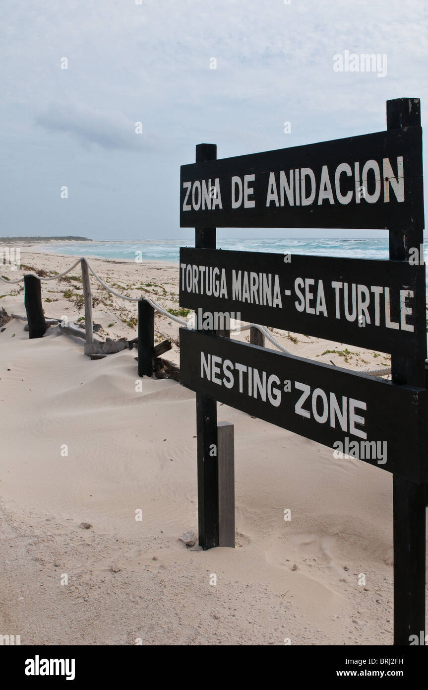 Mexico turtle nesting beaches