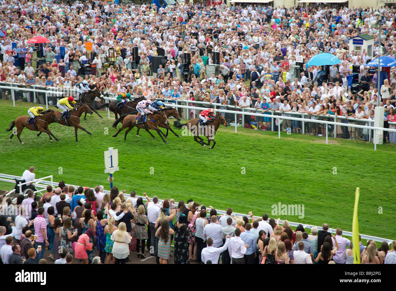 Horse race finish line hires stock photography and images Alamy