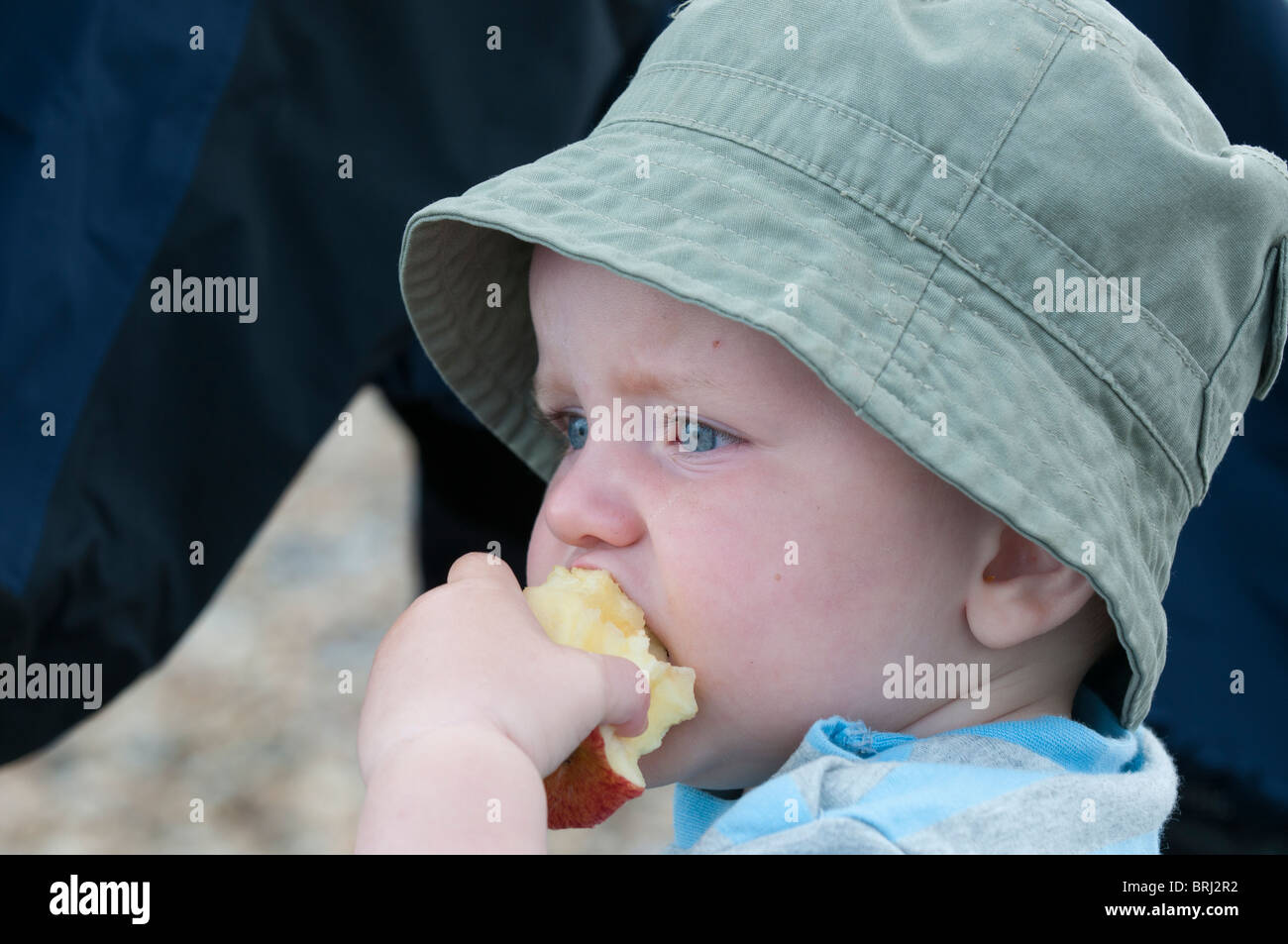 1 year old boy eating apple Stock Photo