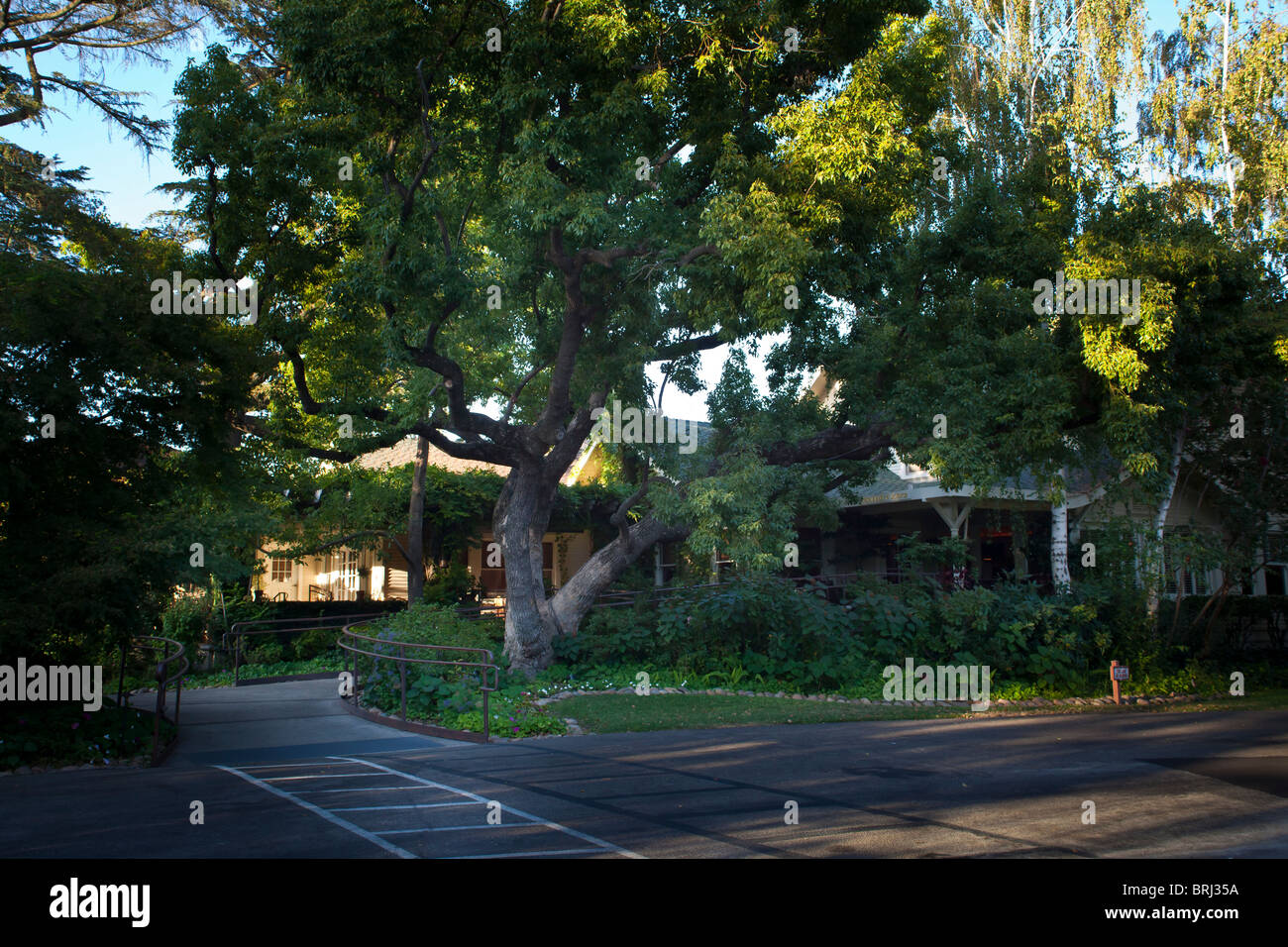 The Lounge and Restaurant at the Lodi Wine and Visitors Center in Lodi