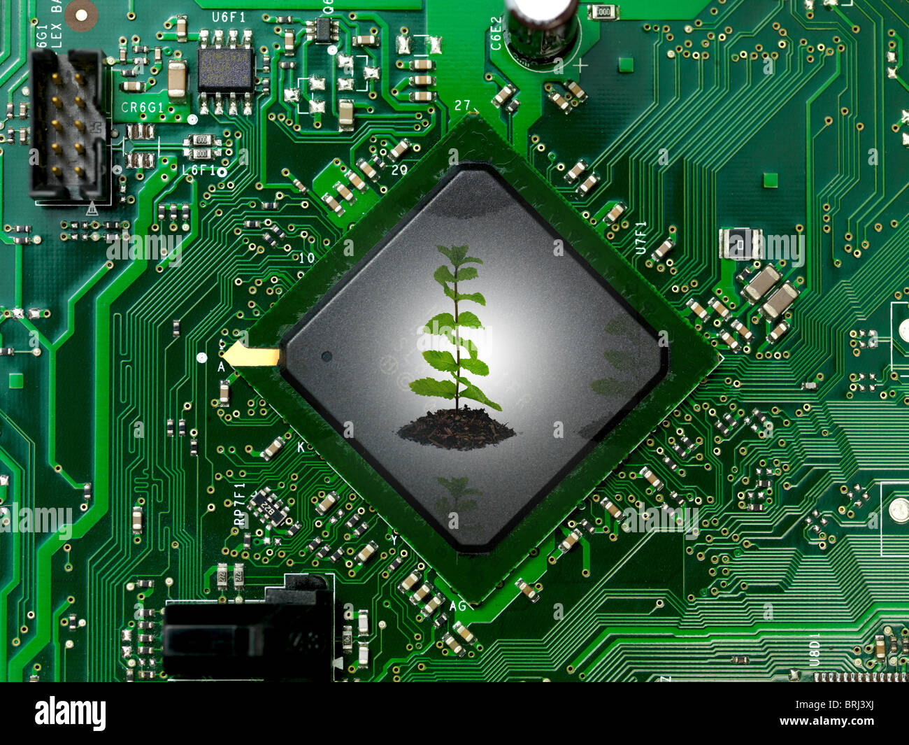A computer processor Stock Photo - Alamy