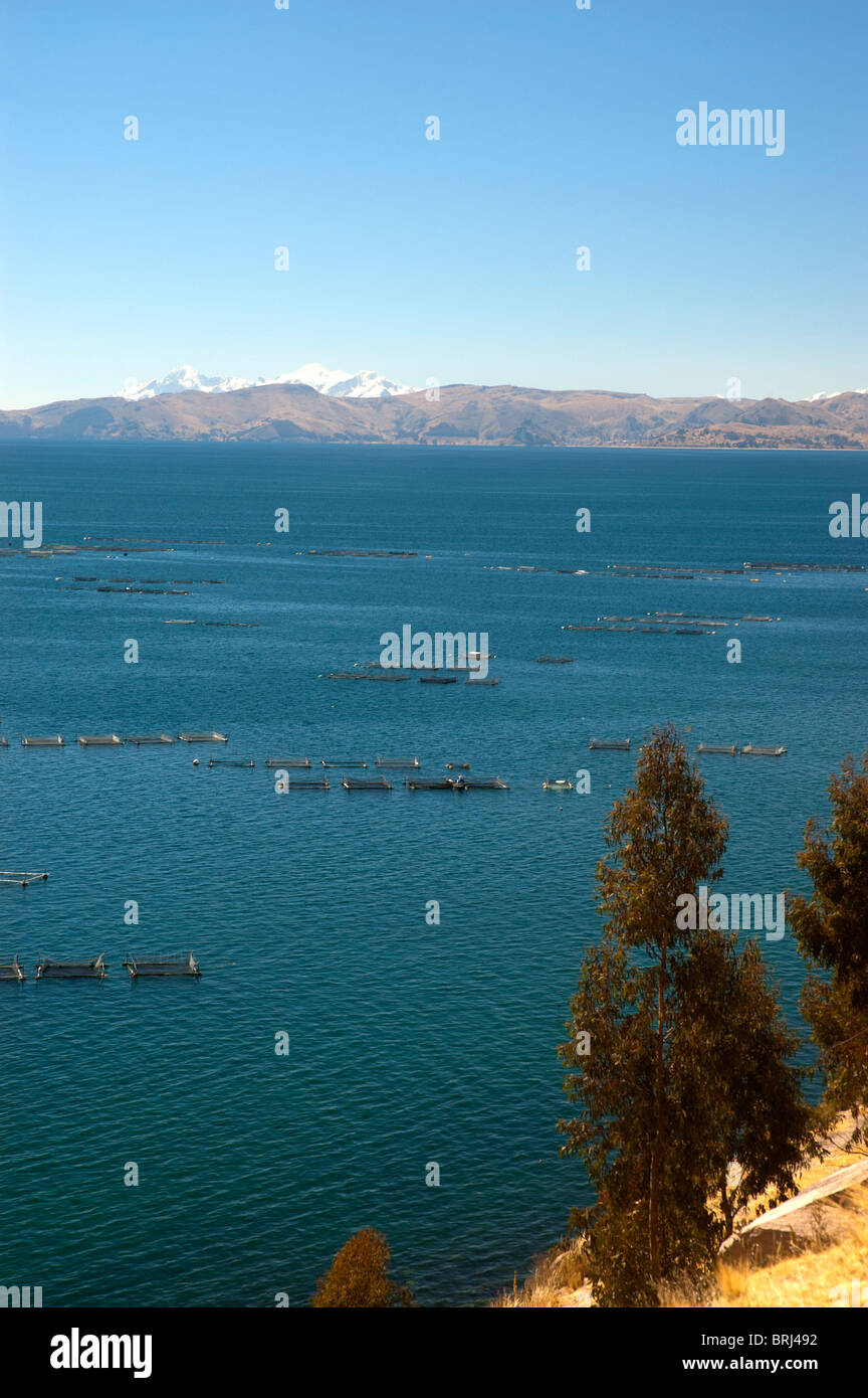 Floating cages of trout farms on Lake Titicaca, Peru. Distant mountains are in Bolivia. Stock Photo