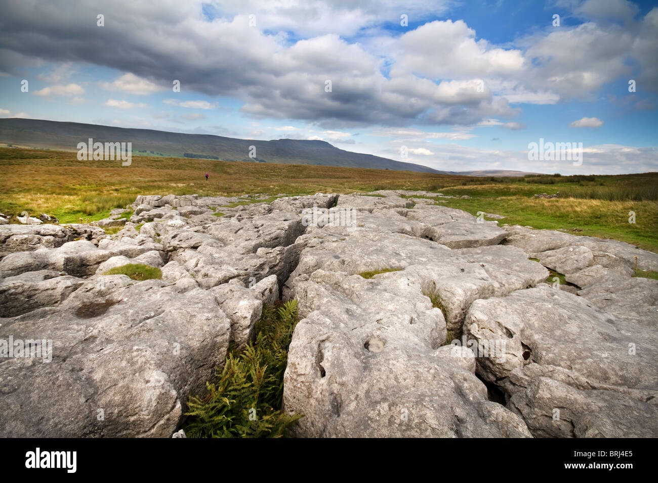 Limestone Pavement at Ingleborough in the yorkshire dales Stock Photo
