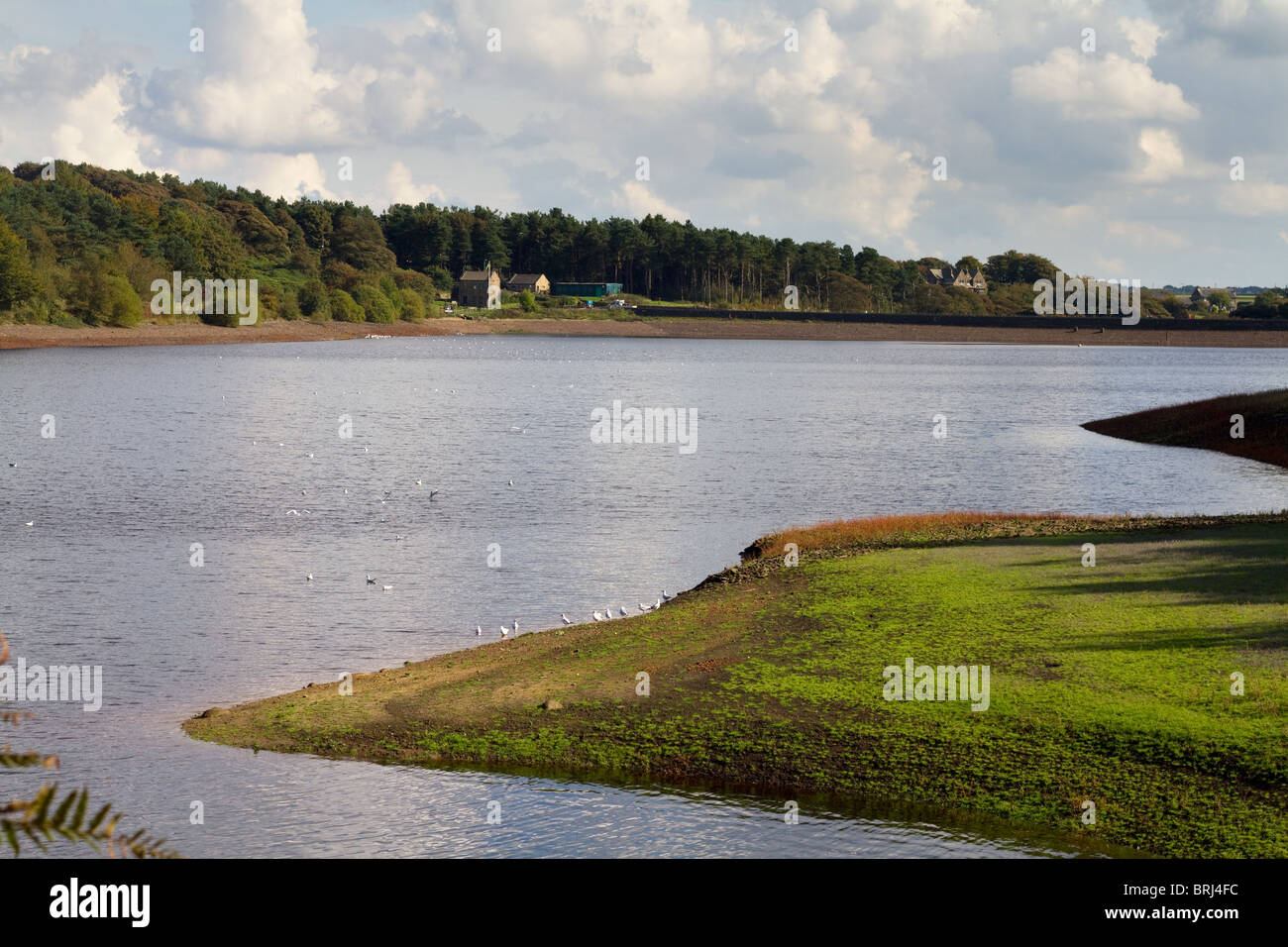 Ogden Water Reservoir Halifax west yorkshire uk Stock Photo Alamy
