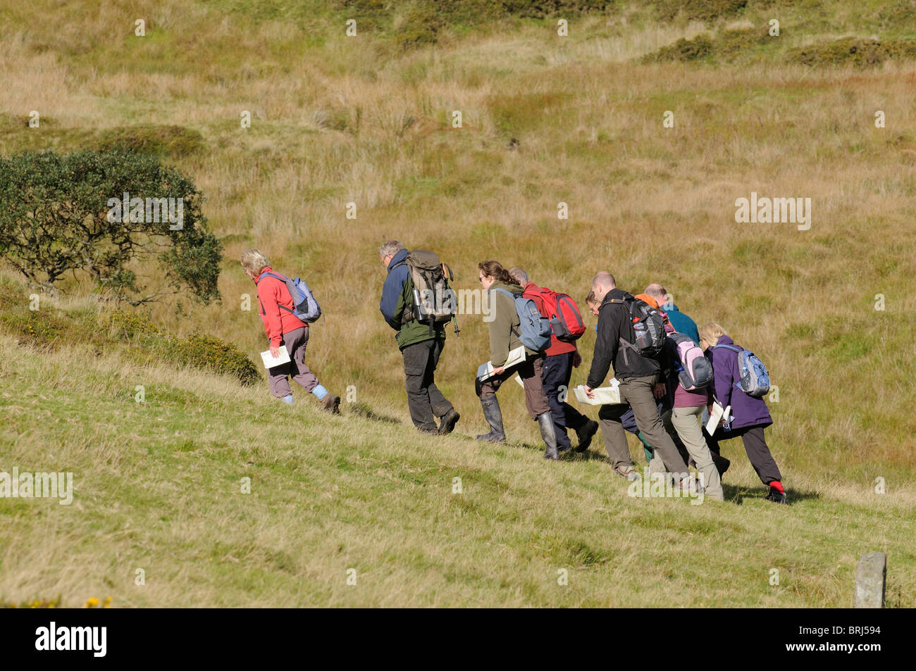Group of people walking on Wakhampton Common Dartmoor National Park in Devon England UK Stock Photo