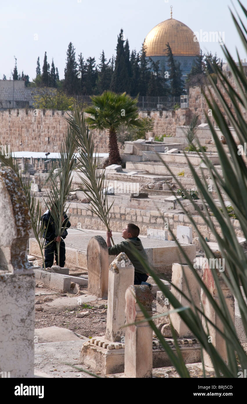 Eid Al Adha Stock Photos & Eid Al Adha Stock Images - Alamy