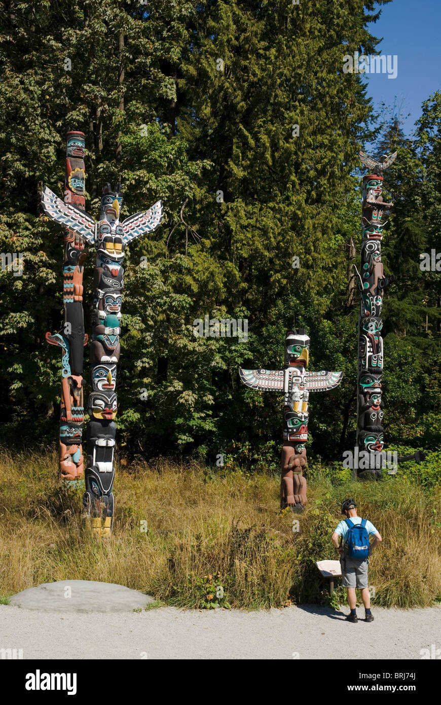 Man looking at the totem poles in Stanley Park, Vancouver, British Columbia, Canada Stock Photo