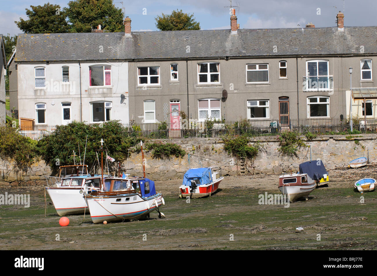Old terraced houses at Admiral's Hard Plymouth Devon England over look the Tamar River at low tide Stock Photo