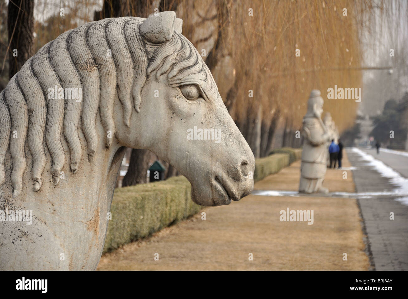 Horse statue on the spirit way to the Ming Tombs in Beijing China Stock Photo