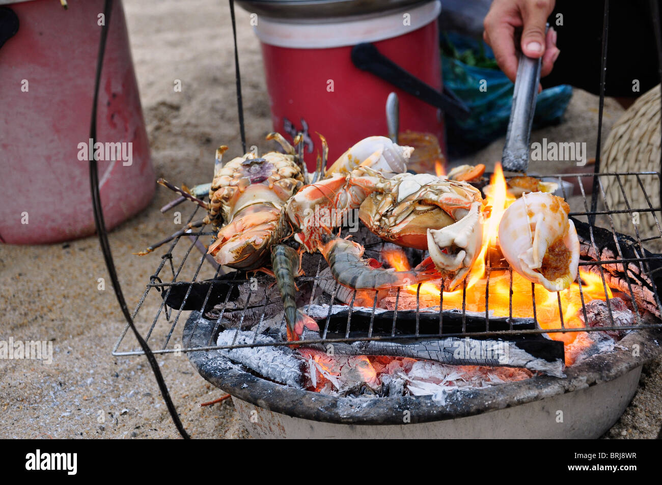 Various shellfish on the grill at the beach in Nha Trang in Vietnam ...